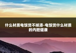 什么材质电饭煲不掉漆-电饭煲什么材质的内胆健康