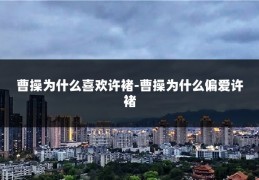 曹操为什么喜欢许褚-曹操为什么偏爱许褚