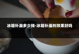 冰箱补漏多少钱-冰箱补漏剂效果好吗