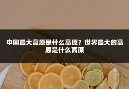 中国最大高原是什么高原?世界最大的高原是什么高原