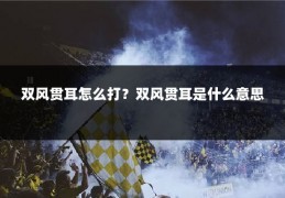 双风贯耳怎么打？双风贯耳是什么意思