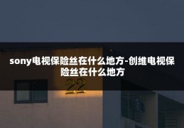 sony电视保险丝在什么地方-创维电视保险丝在什么地方