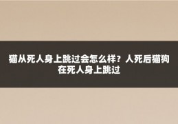 猫从死人身上跳过会怎么样?人死后猫狗在死人身上跳过