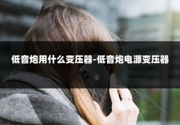 低音炮用什么变压器-低音炮电源变压器