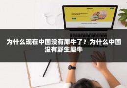 为什么现在中国没有犀牛了？为什么中国没有野生犀牛