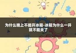 为什么晚上不能开冰箱-冰箱为什么一开就不能关了