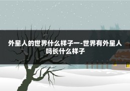 外星人的世界什么样子一-世界有外星人吗长什么样子