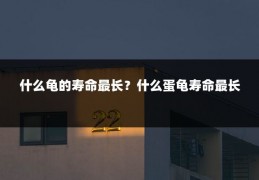 什么龟的寿命最长?什么蛋龟寿命最长