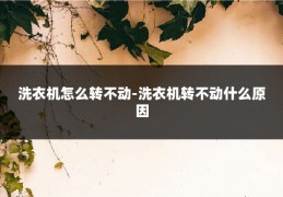 洗衣机怎么转不动-洗衣机转不动什么原因