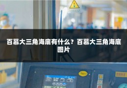 百慕大三角海底有什么?百慕大三角海底图片