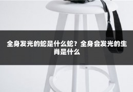 全身发光的蛇是什么蛇?全身会发光的生肖是什么