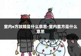 室内e方故障是什么意思-室内套方是什么意思