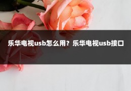 乐华电视usb怎么用?乐华电视usb接口