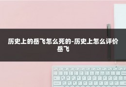 历史上的岳飞怎么死的-历史上怎么评价岳飞
