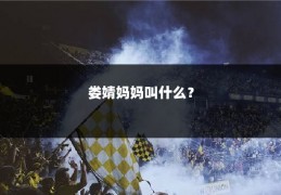 娄婧妈妈叫什么？