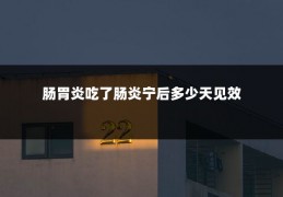 肠胃炎吃了肠炎宁后多少天见效