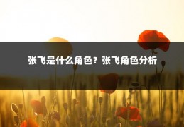 张飞是什么角色?张飞角色分析