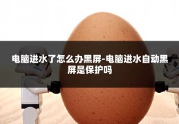 电脑进水了怎么办黑屏-电脑进水自动黑屏是保护吗