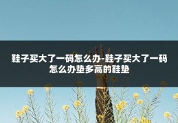 鞋子买大了一码怎么办-鞋子买大了一码怎么办垫多高的鞋垫