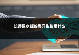 长得像水蛭的海洋生物是什么