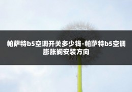 帕萨特b5空调开关多少钱-帕萨特b5空调膨胀阀安装方向