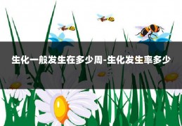 生化一般发生在多少周-生化发生率多少