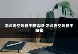 怎么看空调缺不缺雪种-怎么看空调缺不缺弗
