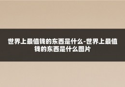 世界上最值钱的东西是什么-世界上最值钱的东西是什么图片