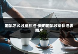 加氟怎么收费标准-美的加氟收费标准表图片