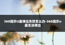 360提示U盘弹出失败怎么办-360提示u盘无法弹出