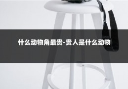 什么动物角最贵-贵人是什么动物