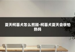 夏天柯基犬怎么照顾-柯基犬夏天会很怕热吗