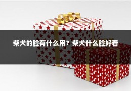 柴犬的脸有什么用?柴犬什么脸好看