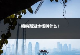 喀呐斯湖水怪叫什么？