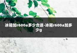 冰箱加r600a多少合适-冰箱r600a加多少g