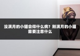 没满月的小猫会得什么病?刚满月的小猫需要注意什么