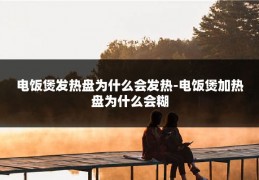 电饭煲发热盘为什么会发热-电饭煲加热盘为什么会糊