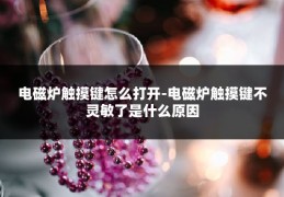 电磁炉触摸键怎么打开-电磁炉触摸键不灵敏了是什么原因