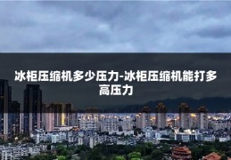 冰柜压缩机多少压力-冰柜压缩机能打多高压力