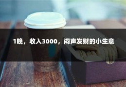 1晚，收入3000，闷声发财的小生意