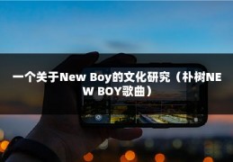 一个关于New Boy的文化研究（朴树NEW BOY歌曲）