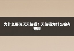 为什么要消灭天使猫？天使猫为什么会有翅膀
