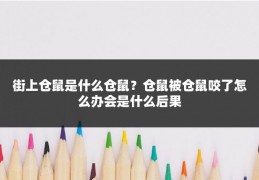 街上仓鼠是什么仓鼠?仓鼠被仓鼠咬了怎么办会是什么后果