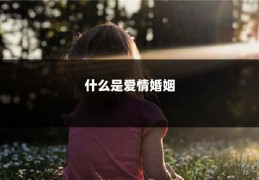 什么是爱情婚姻