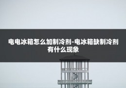 电电冰箱怎么加制冷剂-电冰箱缺制冷剂有什么现象