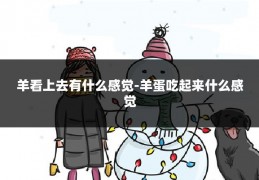 羊看上去有什么感觉-羊蛋吃起来什么感觉