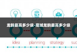 龙韵最高多少级-魔域龙韵最高多少级