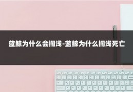 蓝鲸为什么会搁浅-蓝鲸为什么搁浅死亡