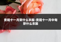 贵阳十一月穿什么衣服-贵阳十一月中旬穿什么衣服