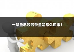 一条鱼总咬另条鱼是怎么回事？